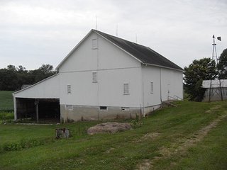 Property photo 5 - 317 +/- Acres offered in 8 Tracts Land Auction